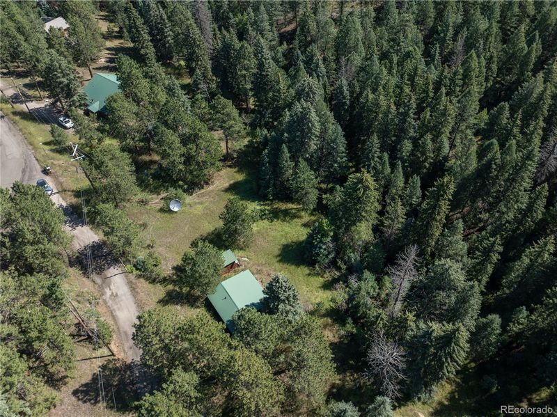 5925 Herzman Dr, Evergreen, CO 80439