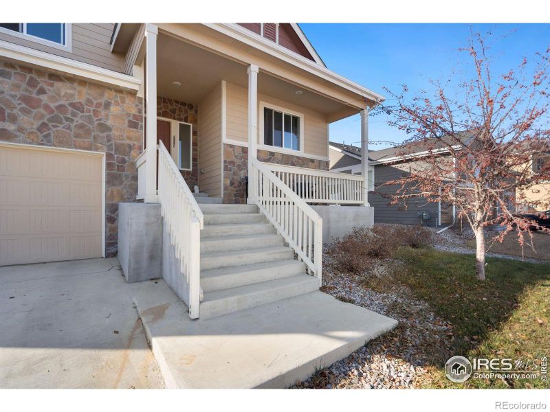 905 Barasingha St, Severance, CO 80550
