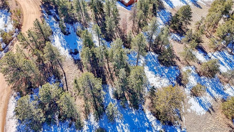 1431 S Mountain Estates Rd, Florissant, CO 80816