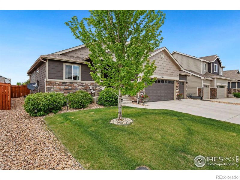 1538 Hanging Valley Ln, Severance, CO 80550