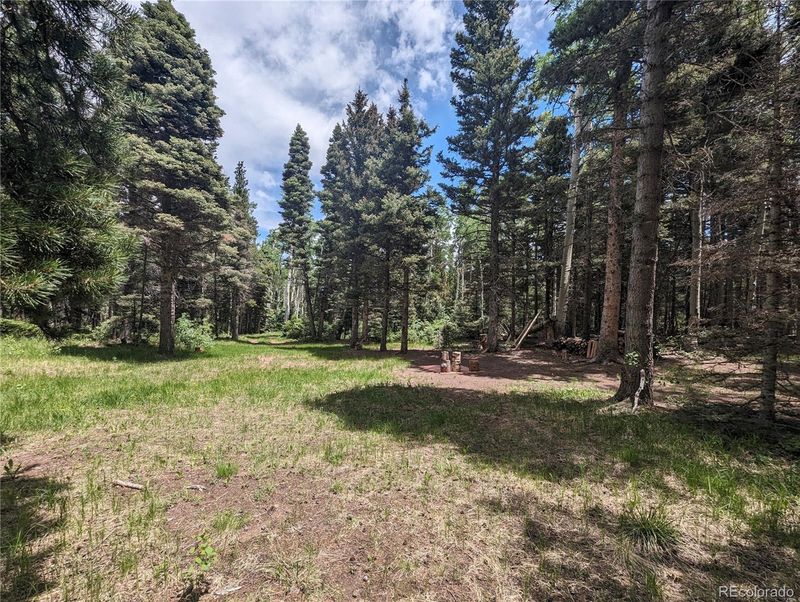 3131 Henderson Dr, Fort Garland, CO 81133