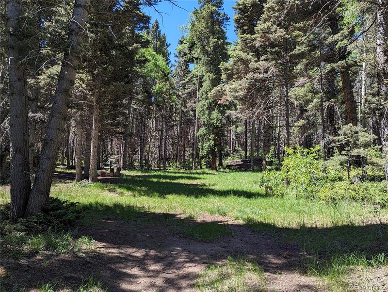 3131 Henderson Dr, Fort Garland, CO 81133