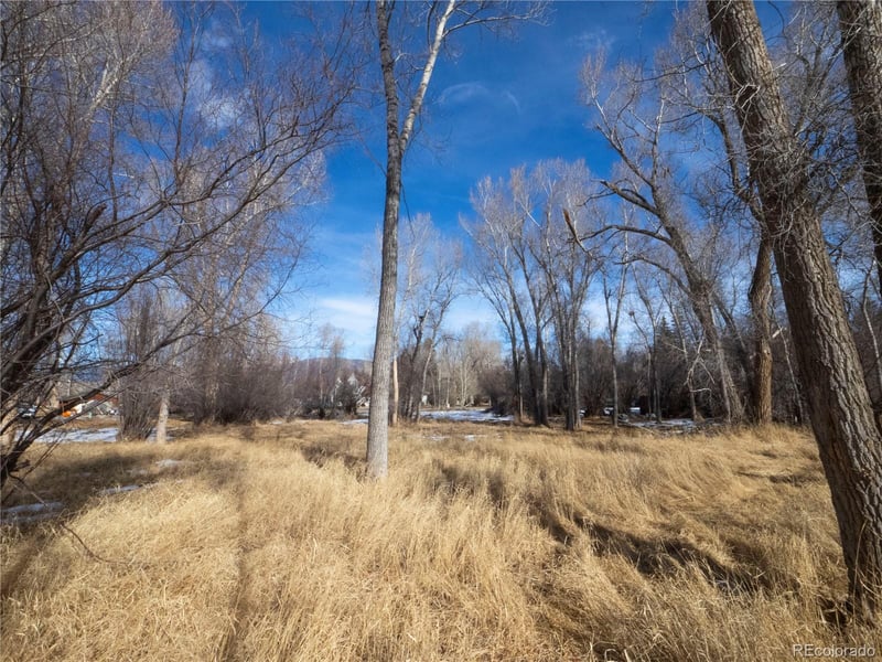 Tee Rd, Buena Vista, CO 81211