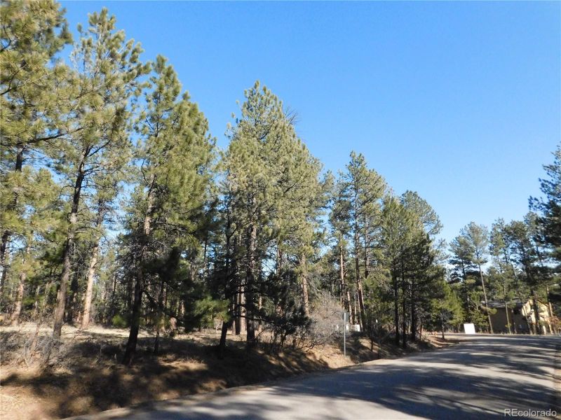 5815 S Pike Dr, Larkspur, CO 80118