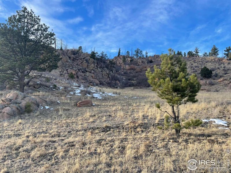 0 Langnis Rd, Florissant, CO 80816