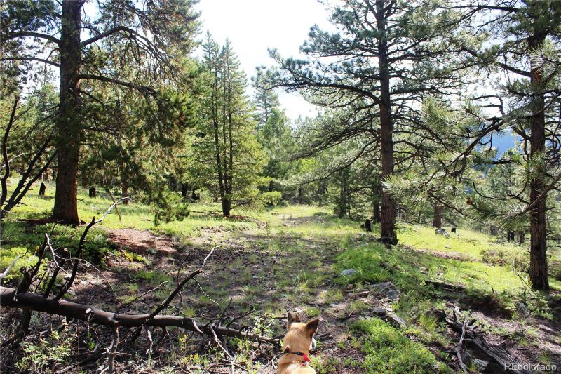 740 Rangeview Ct Lot E, Black Hawk, CO 80422