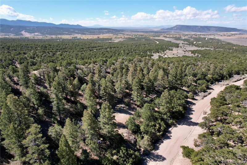 7189 Alligood Rd, Fort Garland, CO 81133