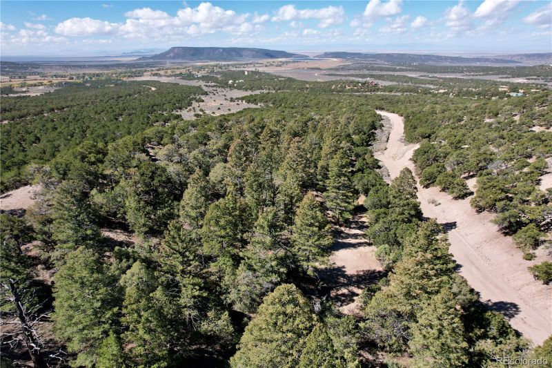 7189 Alligood Rd, Fort Garland, CO 81133