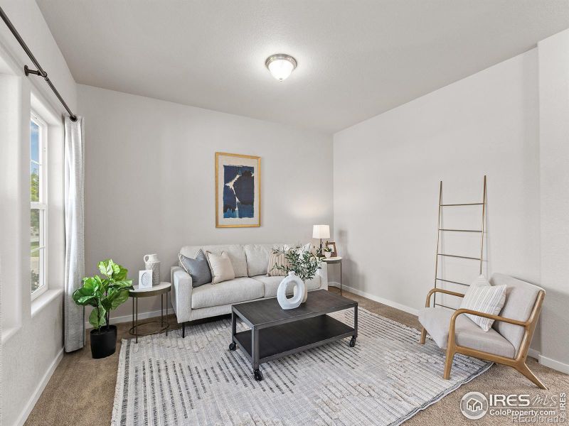1787 Valley Brook Ln, Severance, CO 80550
