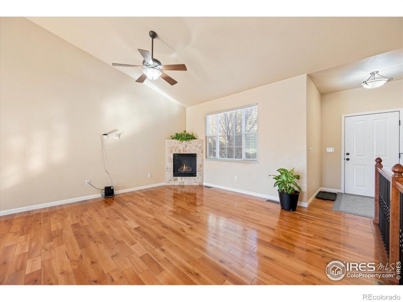 209 Oak St, Windsor, CO 80550