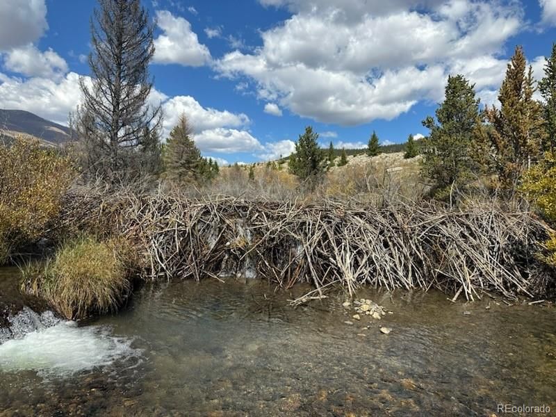33 E Northrup St, Alma, CO 80420