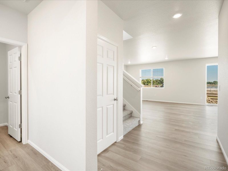 1613 Colorado River Dr, Windsor, CO 80550