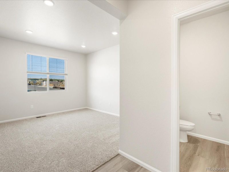 1613 Colorado River Dr, Windsor, CO 80550