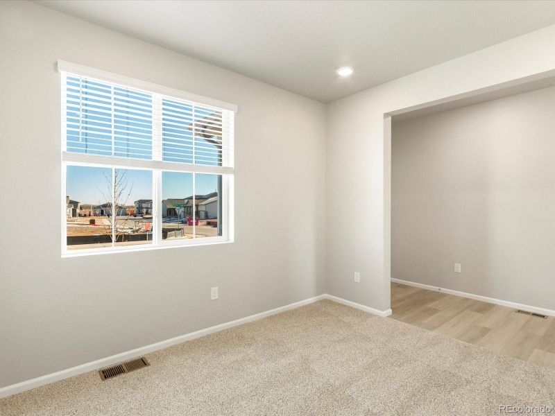 1642 Rumley Creek Dr, Windsor, CO 80550