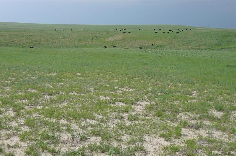 Rural, Deer Trail, CO 80105