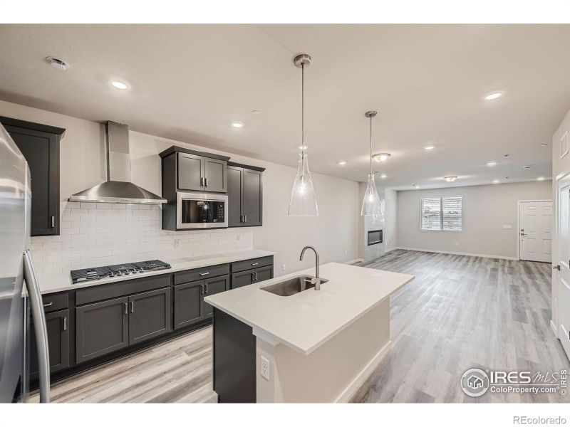 2822 South Flat Cir, Longmont, CO 80503