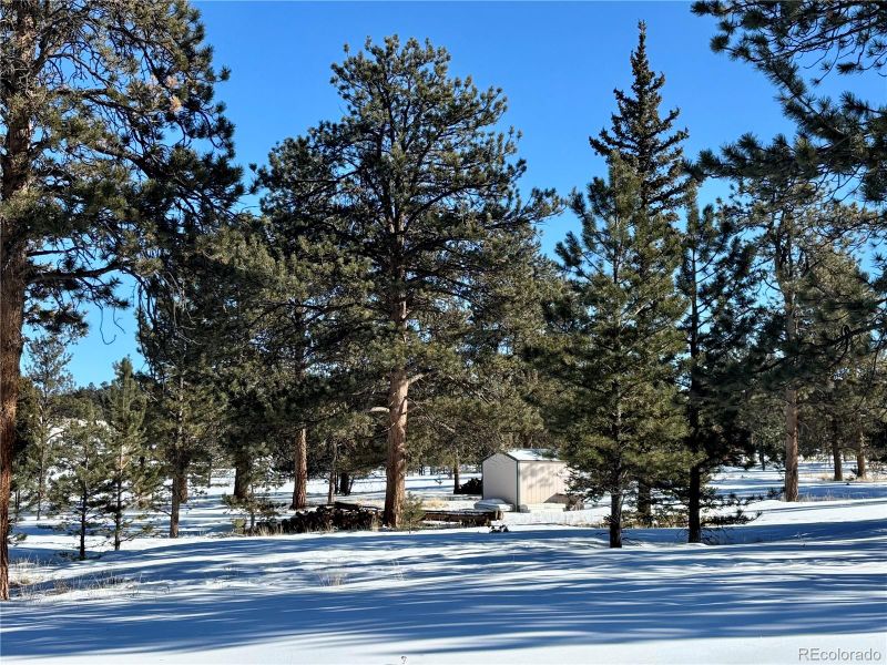 0 Singletree Rd Lot 23, Buena Vista, CO 81211