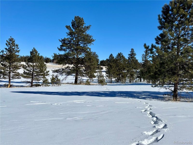 0 Singletree Rd Lot 23, Buena Vista, CO 81211