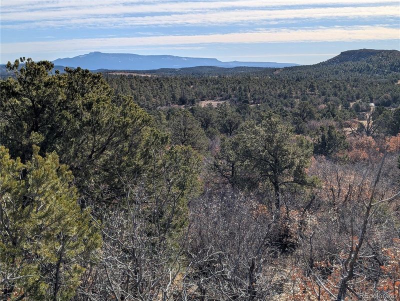 Lds, Boncarbo, CO 81024