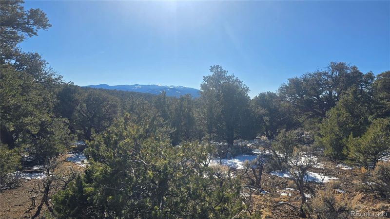 Lot 6 Elk Park Rd, San Luis, CO 81152