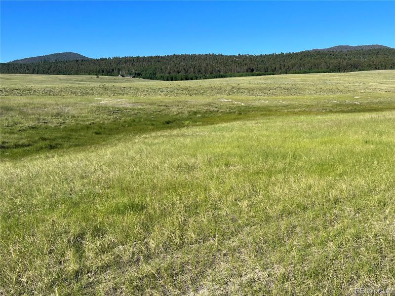 Ranch Rd, Hartsel, CO 80449