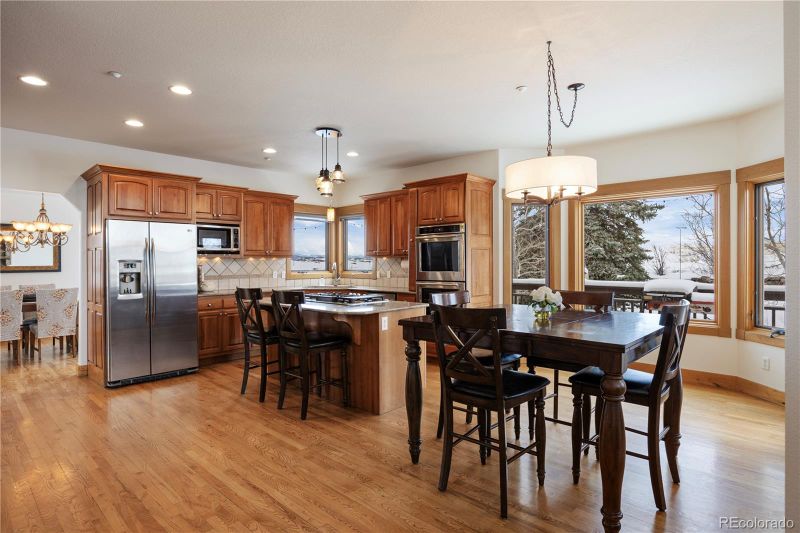 3891 Windchant Cir, Castle Rock, CO 80104