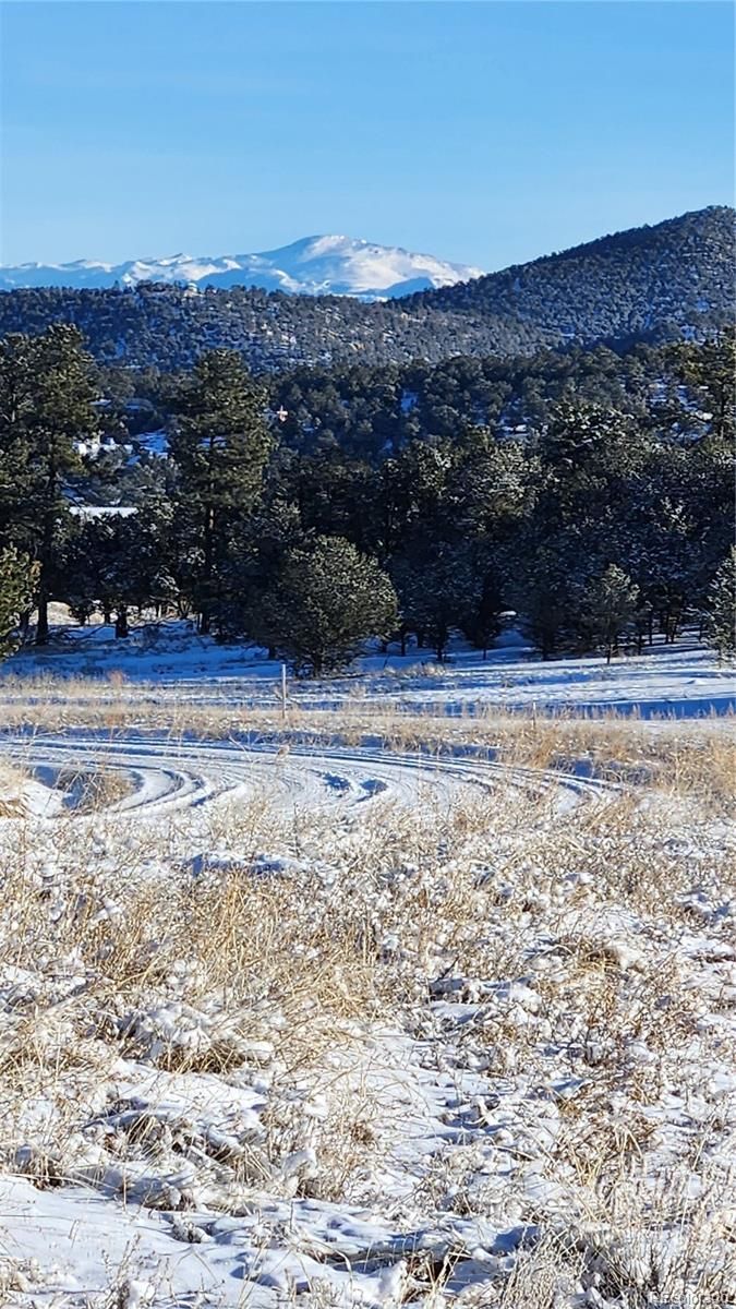 1114 Kit Carson Trl Lot 1, Cotopaxi, CO 81223