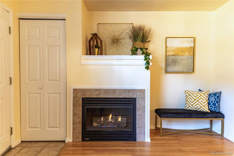6424 Silver Mesa Dr #C, Highlands Ranch, CO 80130