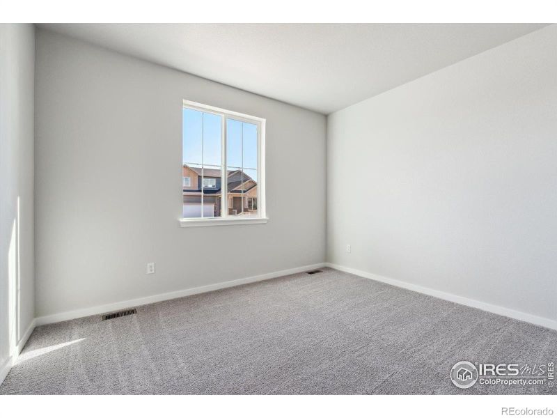 4439 Trader St, Timnath, CO 80547