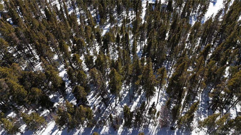 Lot 363 Stewart Rd, Idaho Springs, CO 80452
