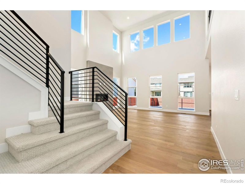 1714 Branching Canopy Dr, Windsor, CO 80550