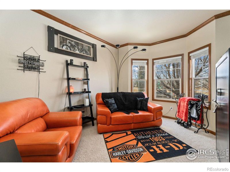 1115 Founders Cir, Windsor, CO 80550