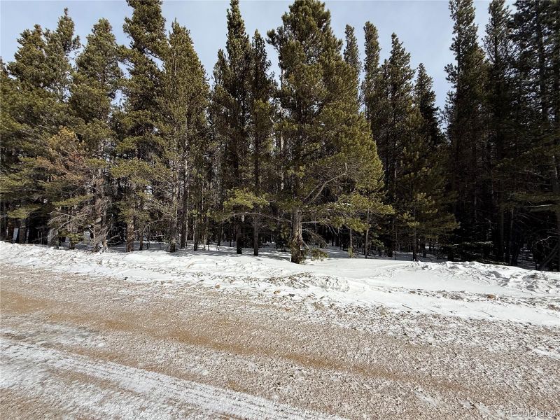 Lot 105 Deer Rd, Idaho Springs, CO 80452