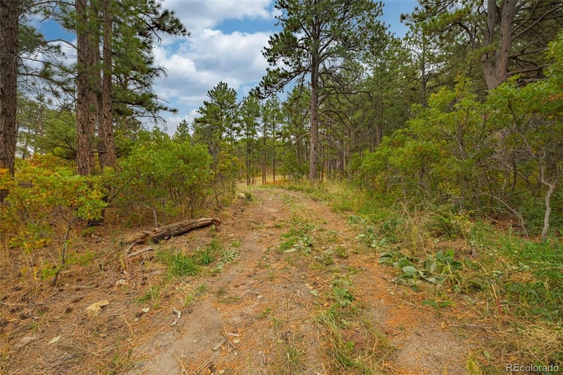 14420 S Perry Park Rd, Larkspur, CO 80118