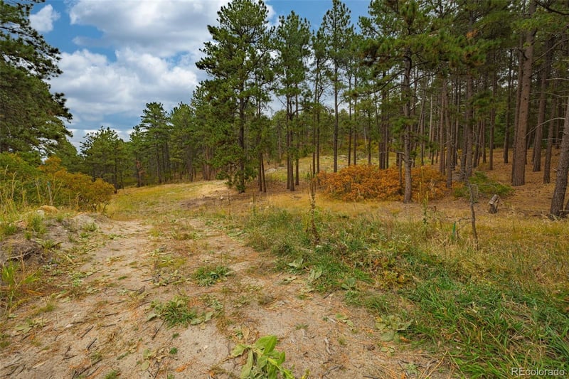 14420 S Perry Park Rd, Larkspur, CO 80118