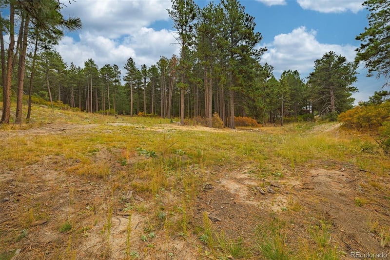 14420 S Perry Park Rd, Larkspur, CO 80118