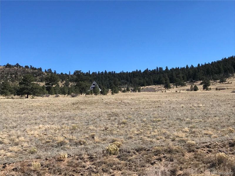 Chickasaw Rd, Hartsel, CO 80449