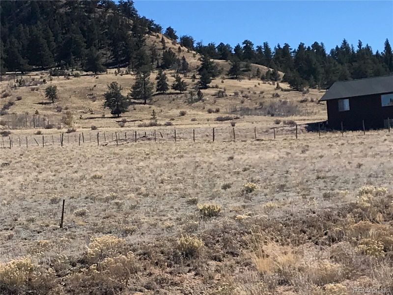 Chickasaw Rd, Hartsel, CO 80449