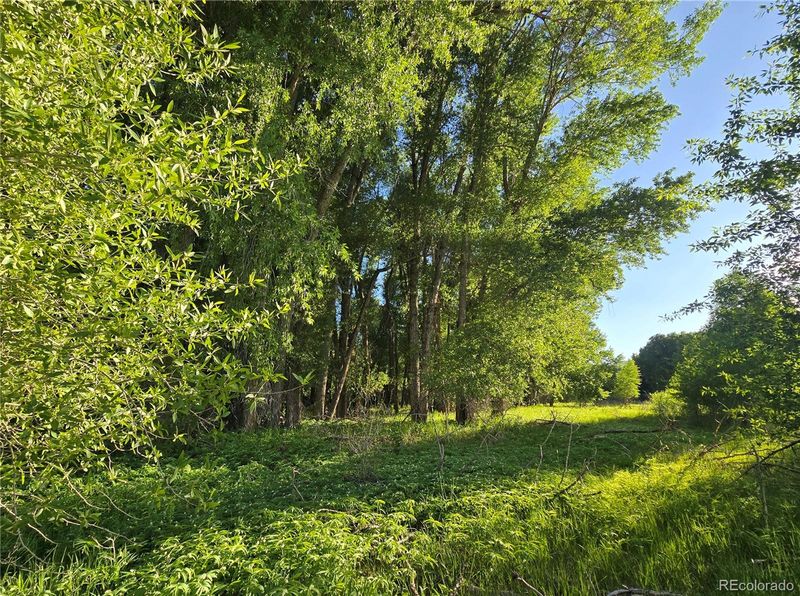 118 Caddis Cir, South Fork, CO 81154