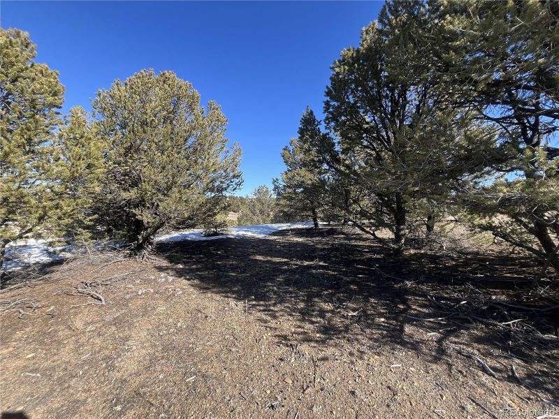 10118 Rawhide Creek Rd Lot 12, Nathrop, CO 81236