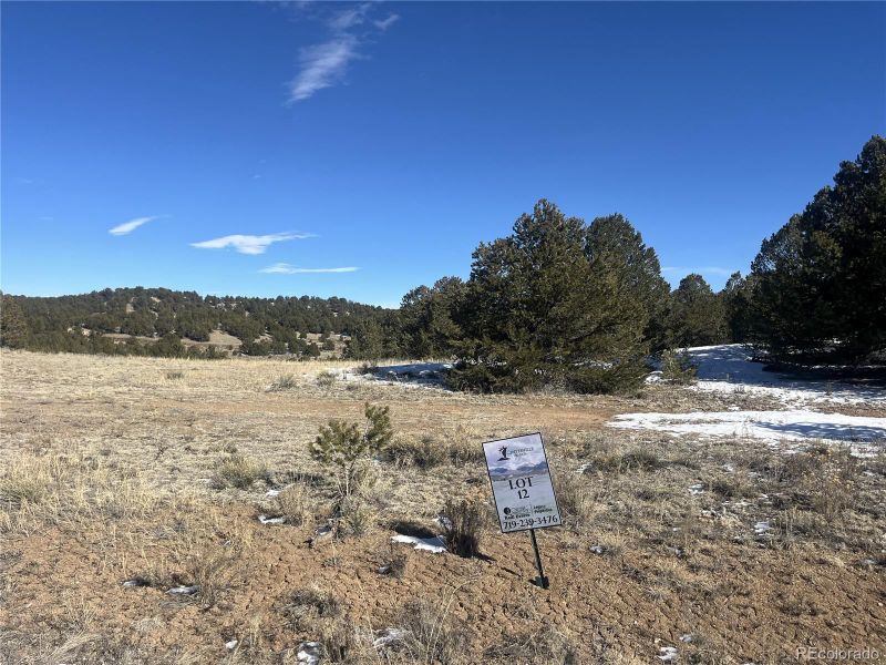 10118 Rawhide Creek Rd Lot 12, Nathrop, CO 81236