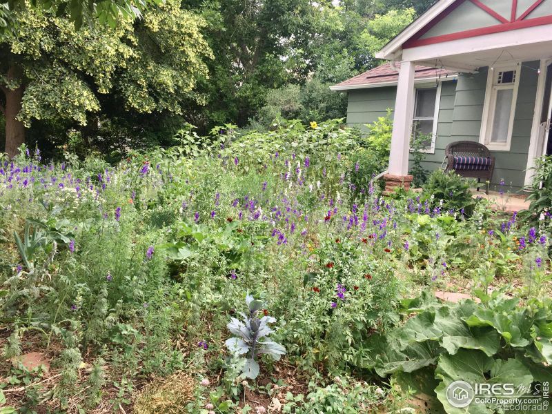 414 Stickney Ave, Lyons, CO 80540