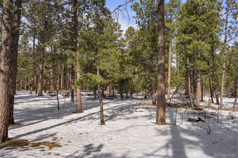 01 Club Dr, Colorado Springs, CO 80908