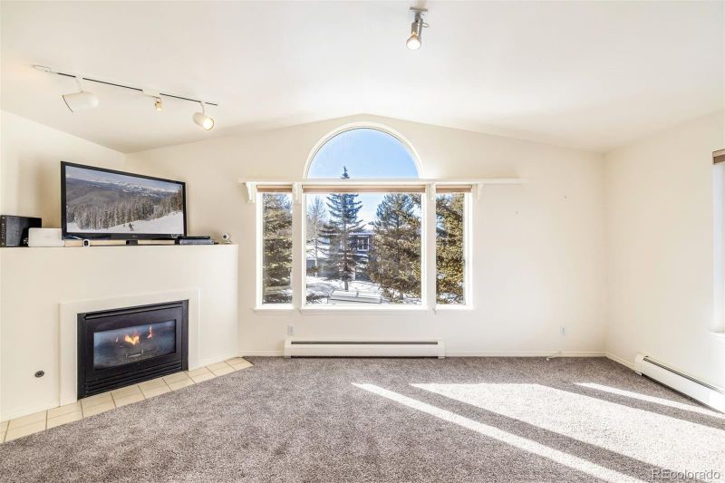 748 Alpine Rd, Dillon, CO 80435
