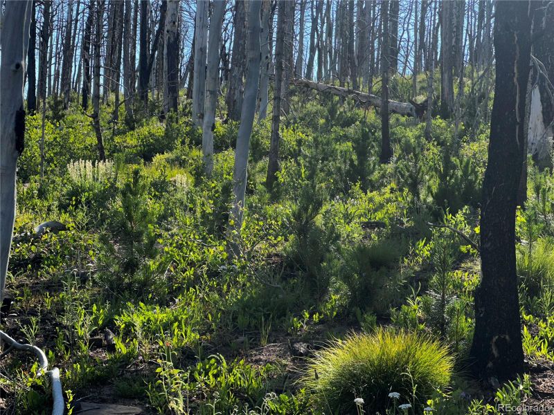 405 Powers Rd Lot 405, Fort Garland, CO 81133