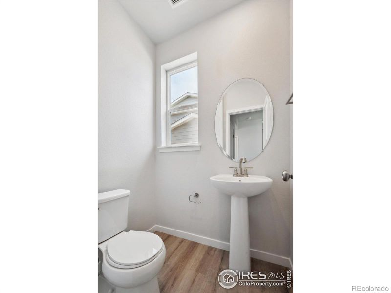 910 Hummocky Way, Windsor, CO 80550