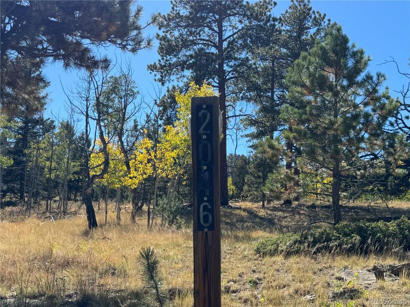 2046 Bellows Rd, Hartsel, CO 80449