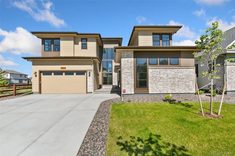 1720 Branching Canopy Dr, Windsor, CO 80550