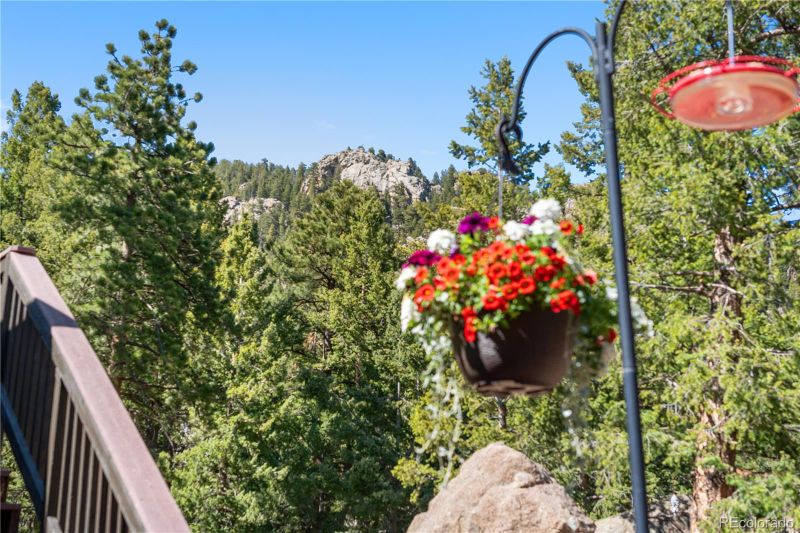 25531 Mosier Cir, Conifer, CO 80433