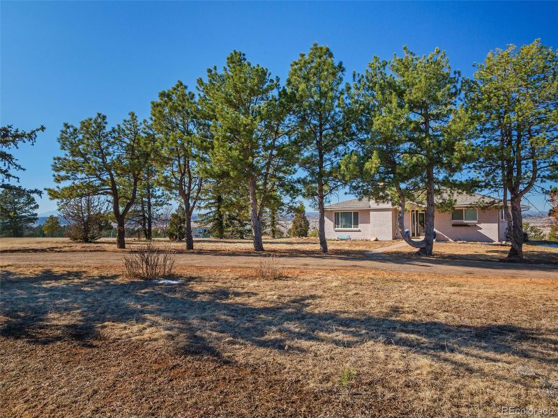 2619 Mountain View Ave, Franktown, CO 80116